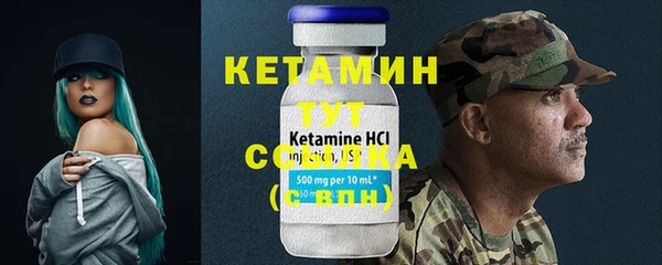 гидра Алексин
