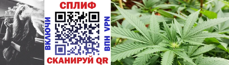 Канабис гибрид  Апрелевка 